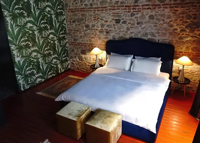 Hotel Bohemian Sophie Korce